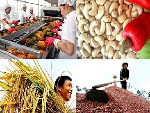 Thị trường nông sản Việt Nam phụ thuộc nhiều vào Trung Quốc