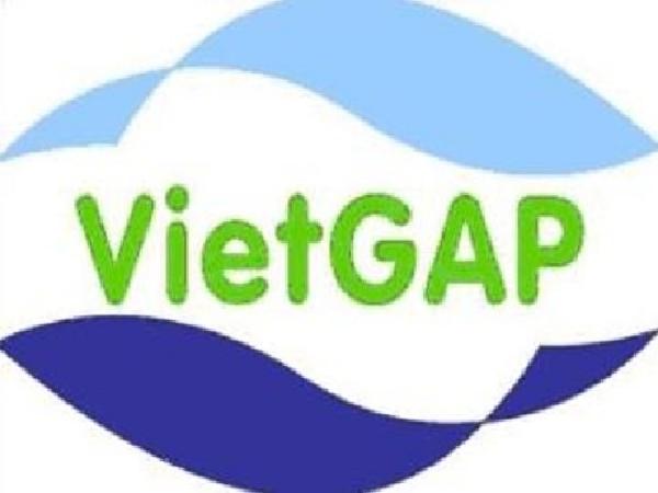 Hướng dẫn thủ tục để xin chứng nhận VietGAP cho sản phẩm mới nhất