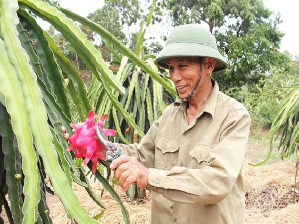 Những nông dân thời 4.0 ở Hà Tĩnh