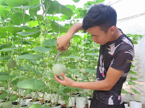 Thán phục chàng trai trẻ làm nông nghiệp dùng 'công nghệ điều khiển từ xa'