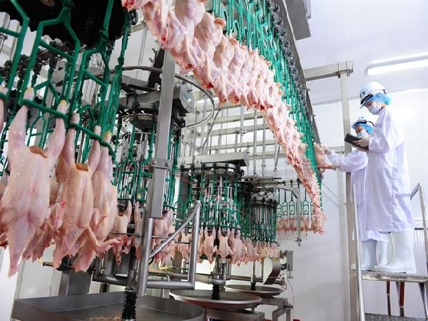 Không kiểm dịch sản phẩm thịt, trứng, sữa đã qua chế biến: Thực phẩm bẩn sẽ ồ ạt tràn vào Việt Nam