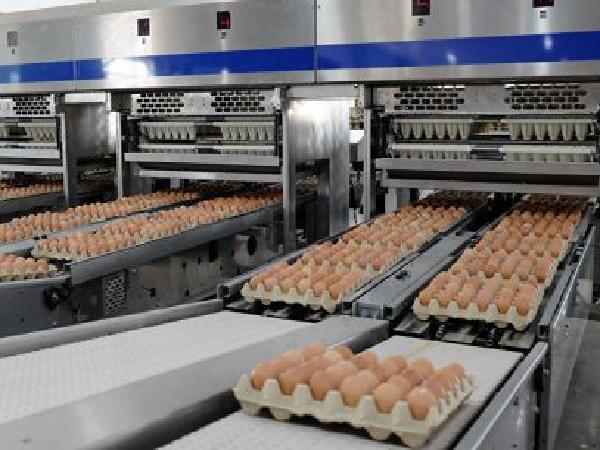 Doanh nghiệp sản xuất thép bán trứng gà nhiều nhất miền Bắc