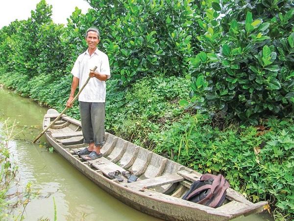 Trồng mít Thái kết hợp nuôi cá cho thu nhập cao