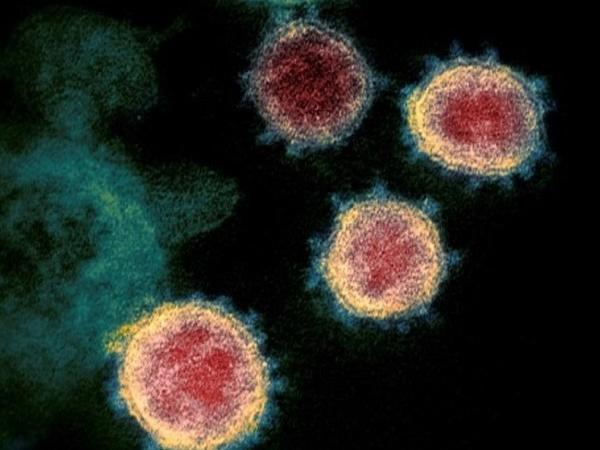 SARS-CoV-2 có thể tiếp tục đột biến ngay cả khi có vaccine