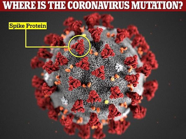 Biến thể của virus Corona ở Việt Nam: Lo ngại tốc độ lây nhiễm