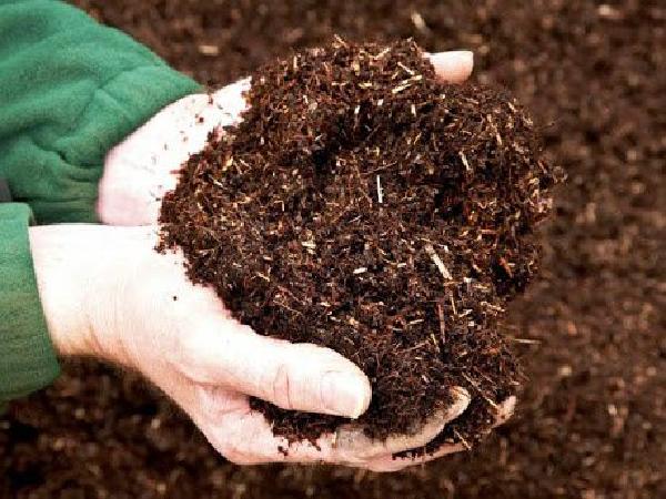 CS-Kỹ thuật ủ phân hữu cơ từ phụ phẩm trồng trọt và chất thải chăn nuôi bằng chế phẩm vi sinh vật