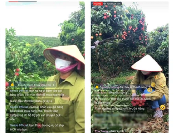 Nông dân Bắc Giang livestream 10 phút bán 2 tấn vải thiều, không lo thương lái ép giá