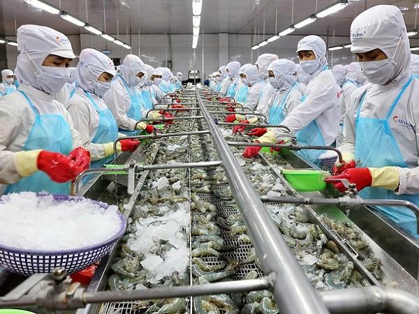 Trung Quốc chuyển sang nuôi tôm để giảm phụ thuộc nhập khẩu vì giá cao