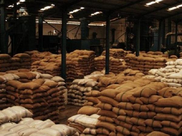 Giá cà phê tăng ‘chóng mặt’ do EU sẽ tăng nhu cầu nhập khẩu