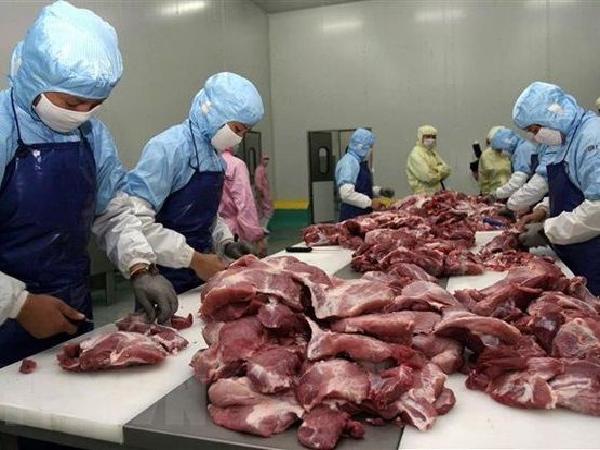 Trung Quốc tăng cường xuất kho dự trữ thịt lợn để duy trì nguồn cung