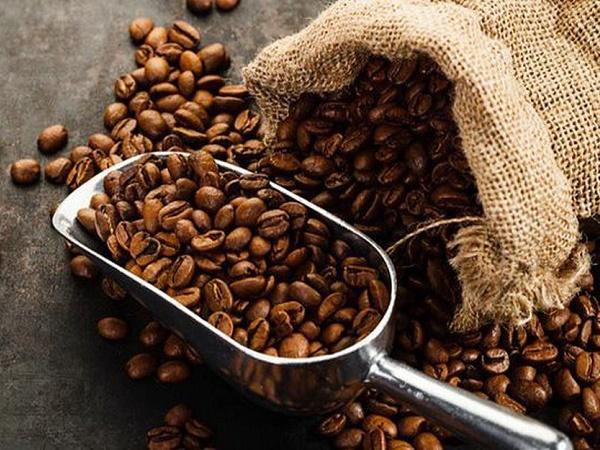 Giá cà phê tăng mạnh, trong nước cán mốc 52.300 đồng/kg