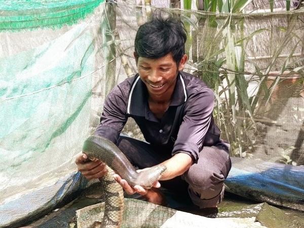 Anh nông dân Khmer thành công với mô hình đa dạng vật nuôi, cây trồng