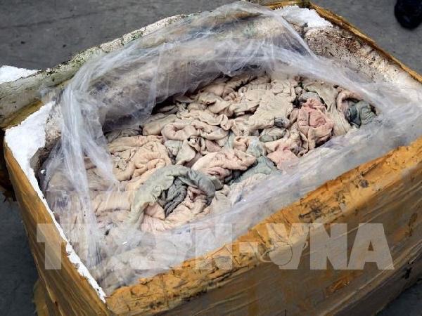 Hải Dương: Phát hiện hộ kinh doanh tàng trữ hơn 2,3 tấn nội tạng lợn bốc mùi hôi thối