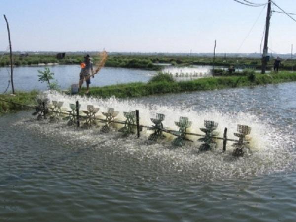 XL-Cách tăng giảm độ pH trong nước ao nuôi trồng thủy sản