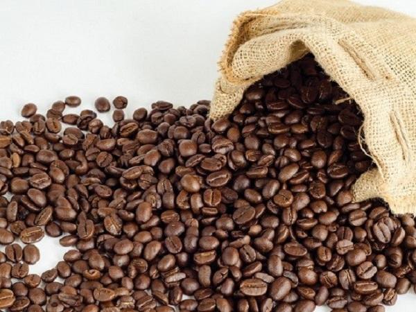 Giá cà phê bật tăng mạnh, giảm chỉ trong ngắn và trung hạn, dự báo nguồn hàng dồi dào?