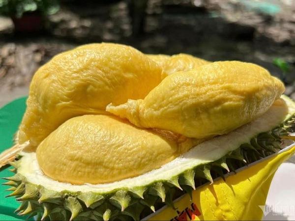Thế giới bắt đầu thích mê, \'trái cây vua\' của Việt Nam sẽ thu 3,5 tỷ USD
