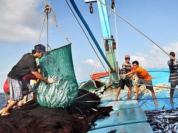 Đến tháng 4/2024 không còn tình trạng tàu cá Việt Nam đi khai thác hải sản trái phép